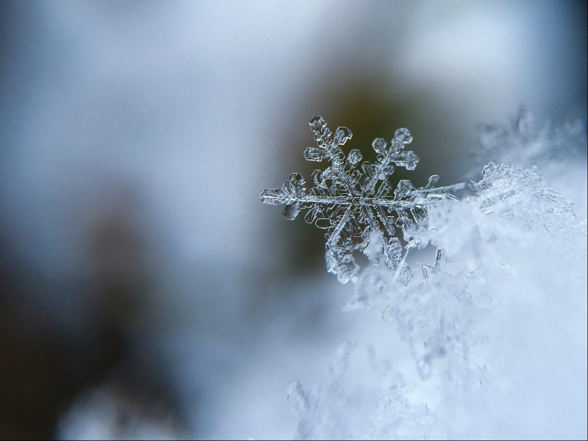 frio-brasil frio-brasil