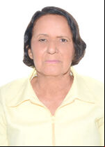 Foto Bolsoreth 22321